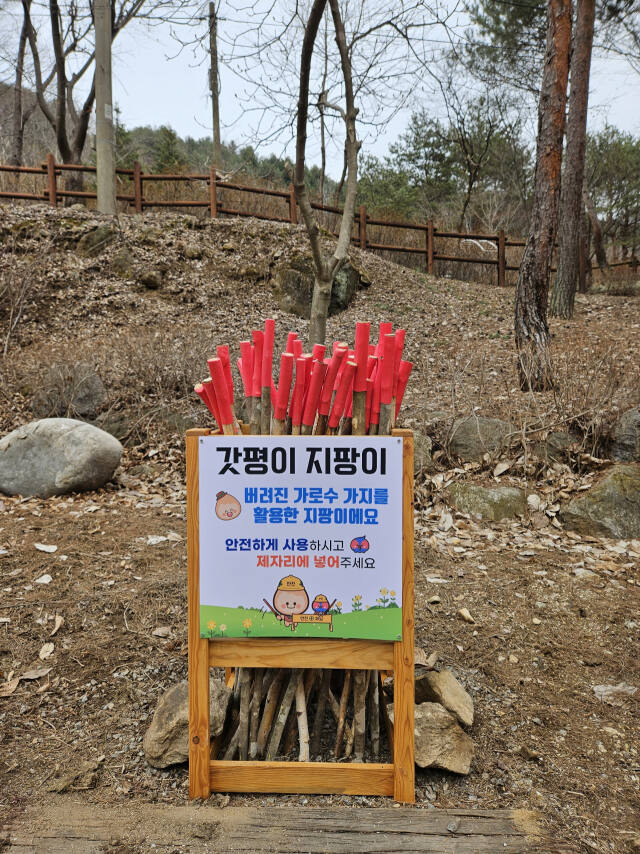 가평군이 가로수 부산물 등을 활용해 제작한 등산용 지팡이. 가평군 제공