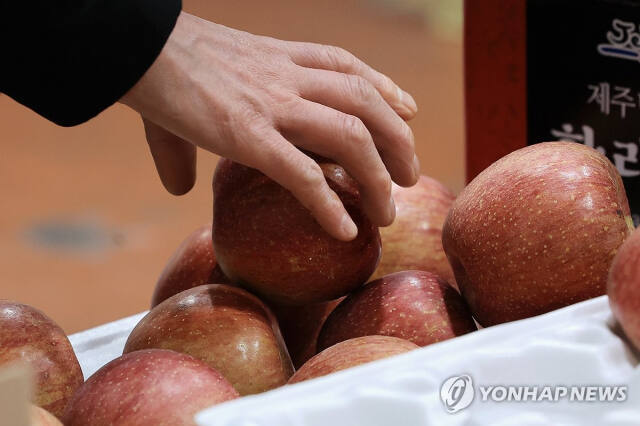 과일과 채소 등 농산물 가격이 급등해 장보기가 겁난다고 한다. 연합뉴스