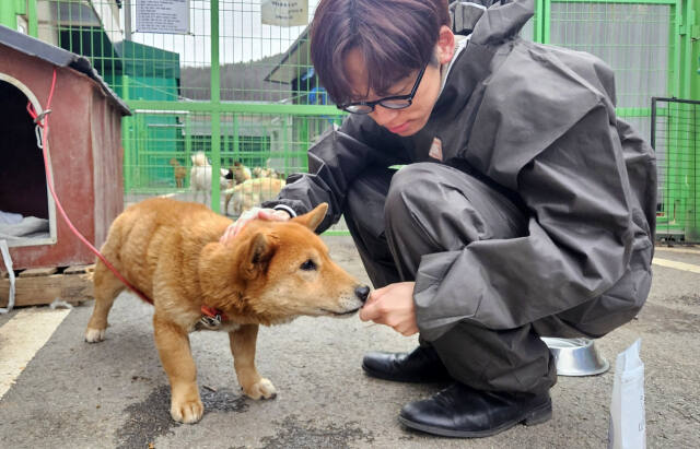 22일 오후 처인구 삼가동 용인시 동물보호센터 앞마당에서 본보 송상호기자가 강아지 살곰이에게 간식을 건네주고 있다. 용인시 동물보호센터 제공
