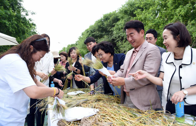 김동근 의정부시장이 청보리 밟기 행사에 참가해 시민들과 청보리로 꽃다발을 만들고 있다. 의정부시 제공