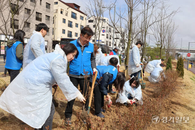 26일 평택 고덕동 서정리천 인근에서 삼성전자 임직원들이 나무를 심고 있다. 안노연기자