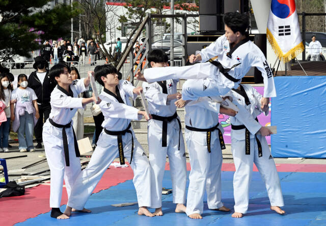 '2024 평택시민건강걷기대회' [포토뉴스]