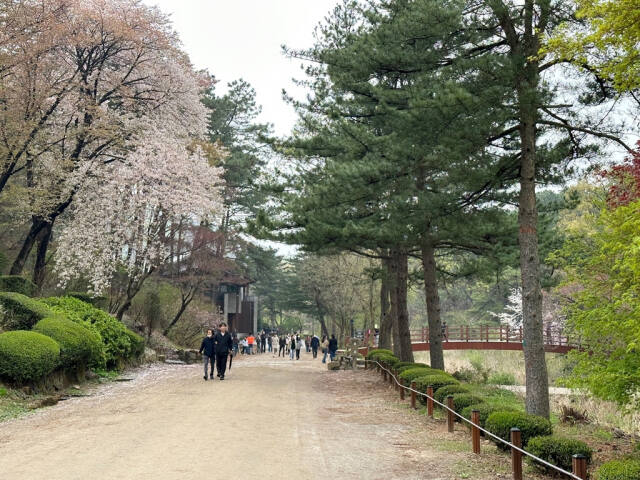 관악수목원 모습. 안양시 제공