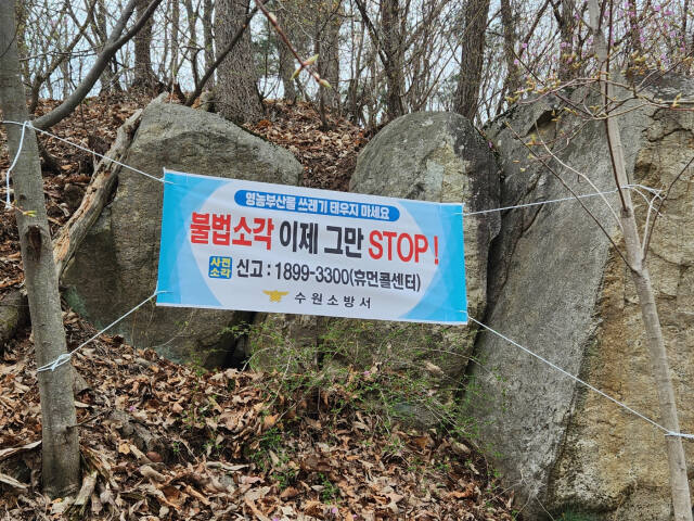 수원소방서가 임야 화재를 막기 위해 수원 광교산 인근 임야 등에 홍보현수막을 내걸었다. 수원소방서 제공