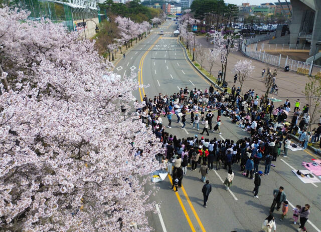 6일 수원월드컵경기장 중앙광장 및 스포츠센터 전면도로에서 열린 ‘2024 차 없는 거리 페스티벌-월드컵UP로드’에 참여한 시민들이 벚꽃길을 배경으로 다채로운 문화공연 등을 관람하며 즐거운 시간을 보내고 있다.조주현기자