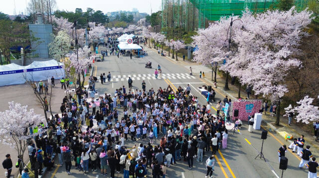 6일 수원월드컵경기장 중앙광장 및 스포츠센터 전면도로에서 열린 ‘2024 차 없는 거리 페스티벌-월드컵UP로드’에 참여한 시민들이 벚꽃길을 배경으로 다채로운 문화공연 등을 관람하며 즐거운 시간을 보내고 있다.조주현기자