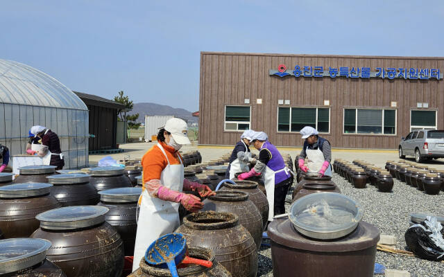 인천 옹진군 전통장류연구회원들이 최근 백령도 농특산물가공지원센터에서 ‘전통장 가르기’ 행사를 하고 있다. 군 제공