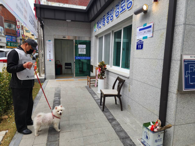 인천 계양구 계산1동 제2투표소가 마련된 중앙경로당 앞에서 반려견이 주인 이금숙씨를 기다리고 있다. 이병기기자