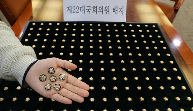 제22대 국회의원 배지. 연합뉴스