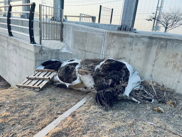 LH 광명시흥사업본부가 시행한 시흥장현택지지구 내 장현휴먼시아 2차 아파트 주변 ‘경관녹지 14호’ 조성 공사 현장에 버려진 폐기물이 흉물스럽게 방치되고 있다. 김형수기자