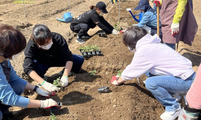 의정부시평생학습원이 가족텃밭가꾸기 키우GO-팜을 개장했다. 의정부평생학습원 제공.