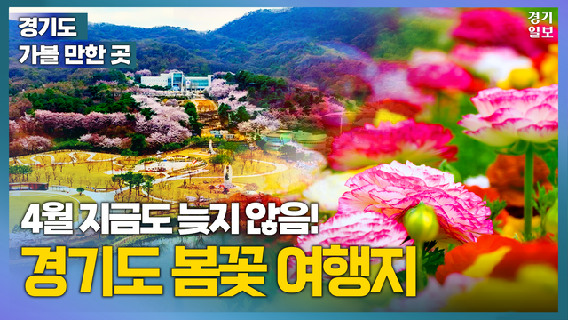 썸네일 풀버전