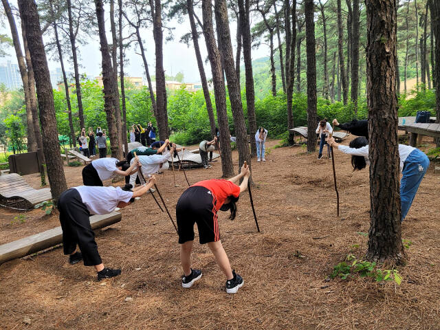 의왕시는 도시생활에 지친 심신을 숲에서 힐링할 수 있는 산림치유 프로그램을 오는 11월까지 운영한다. 의왕시 제공