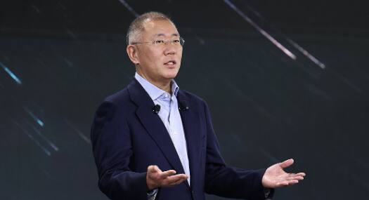 정의선 현대차 회장 /연합뉴스