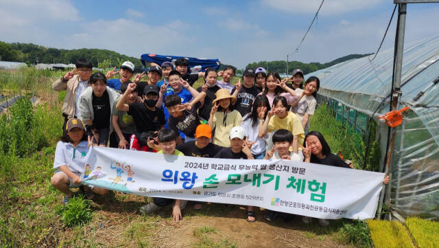 의왕 모락초등학교 학생들이 의왕시 초평동의 한 논에서 손 모내기 체험을 진행했다. 모락초교 제공