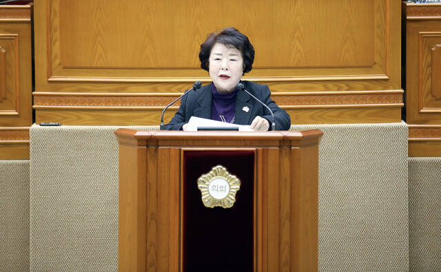 김보영 안양시의원. 안양시의회 제공