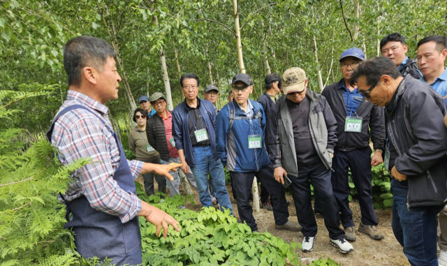 산림청과 임업진흥원, 임업후계자협회가 공동으로 개설한 2024 제2기 임업소득 비지니스 전문가 양성교육이 개최됐다. 27일 산양삼 생산농가 대표가 교육생을 상대로 산림복합조성과 경영, 산양삼 현장실습을 진행하고 있다. 유진동기자