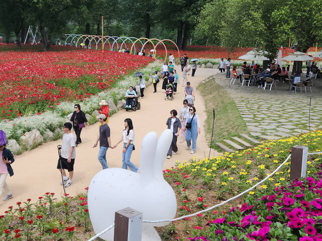 가평 ‘자라섬 꽃 페스타’가 개막 열흘 만에 관람객 6만명을 돌파했다. 가평군 제공
