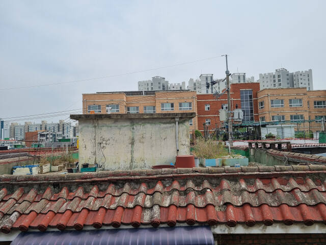 인천 남동구 만수동 일대 한 빌라 옥상 위에 누군가 텃밭을 만들어 작물을 심어 놓았다. 정성식기자