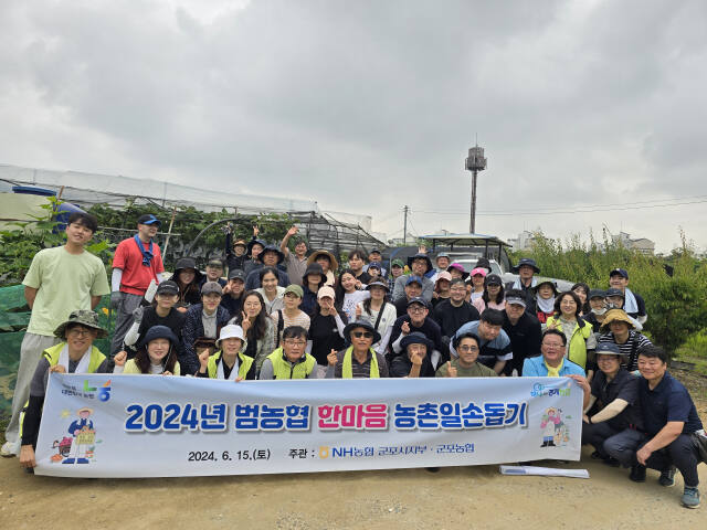 농협군포시지부와 군포농협 임직원들이 휴일도 반납하고 지역내 농촌 일손돕기에 나서 포도봉지 씌우기 등 농민들의 일손을 도왔다. 농협 제공
