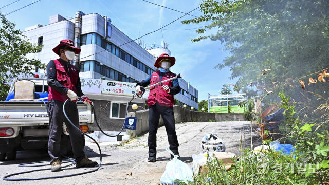 여름철 모기기승, 도내 시·군 보건소 방역 강화 [포토뉴스]