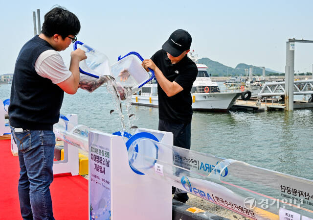 19일 오후 화성시 전곡항에서 열린 2024 한중 공동 치어방류의 날 기념행사에서 한,중 관계자들이 참돔, 참조기 치어를 방류하고 있다. 이번 행사로 방류하는 어종은 참조기, 참돔, 꽃게 등 약 326만 마리로 서해 전역에 서식하면서 경제적 가치가 높은 회유성 어종을 방류했다. 윤원규기자