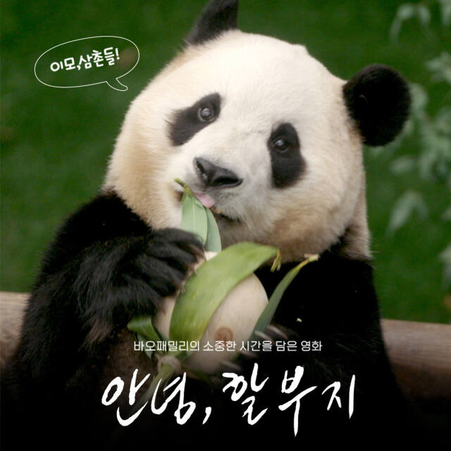 영화 ‘안녕, 할부지’ 관련 그래픽. 에버랜드 제공