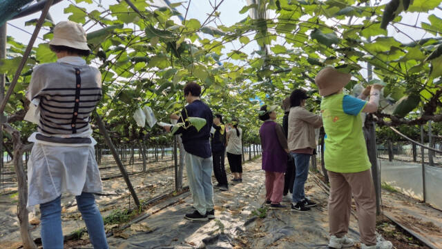 올해는 농업 분야에 특화된 신중년들을 위해 ‘계절 일자리 이음사업’을 시범 운영하고 있다. 시흥시 제공