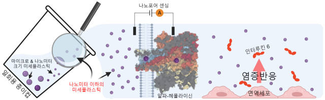 인하대 연구팀은 폴리에틸렌으로 코팅한 일회용 종이컵에서 1.4 나노미터의 균일한 나노포어를 통해 나노미터 이하의 미세플라스틱을 검출했다. 또한 나노미터 이하의 미세플라스틱도 면역세포의 염증 반응(인터루킨 6 생성 증가)을 유발할 수 있음을 밝혔다. 인하대 제공