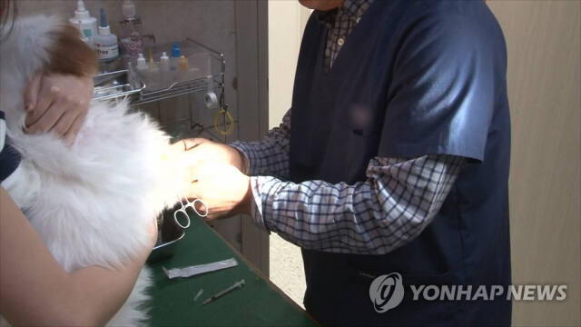 한 동물병원에서 수의사가 반려견을 진료하고 있다. 연합뉴스 자료사진