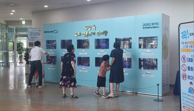 하남시 미사도서관의 ‘도심 속 토종 민물고기 이동도서관’. 하남시 제공
