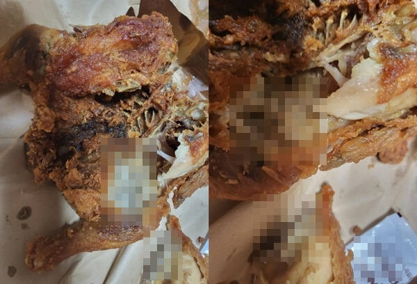 지난달 23일 한 온라인 커뮤니티에 공개돼 논란이 된 구더기가 가득한 통닭. 온라인 커뮤니티 갈무리
