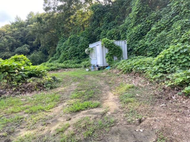 양평 상수원보호구역 불법행위 특별점검 결과 적발된 컨테이너 박스 하우스. 한강유역환경청 제공