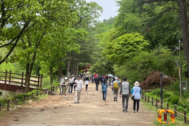 서울대 관악수목원 모습. 안양시 제공