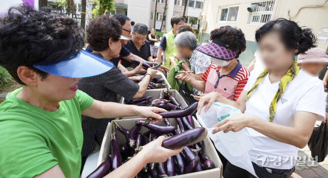 평택 합정주공3단지, 입주민공동체 활성화를 위한 무료 가지 나눔 [포토뉴스]