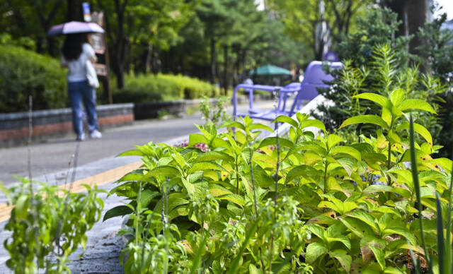 경기일보DB