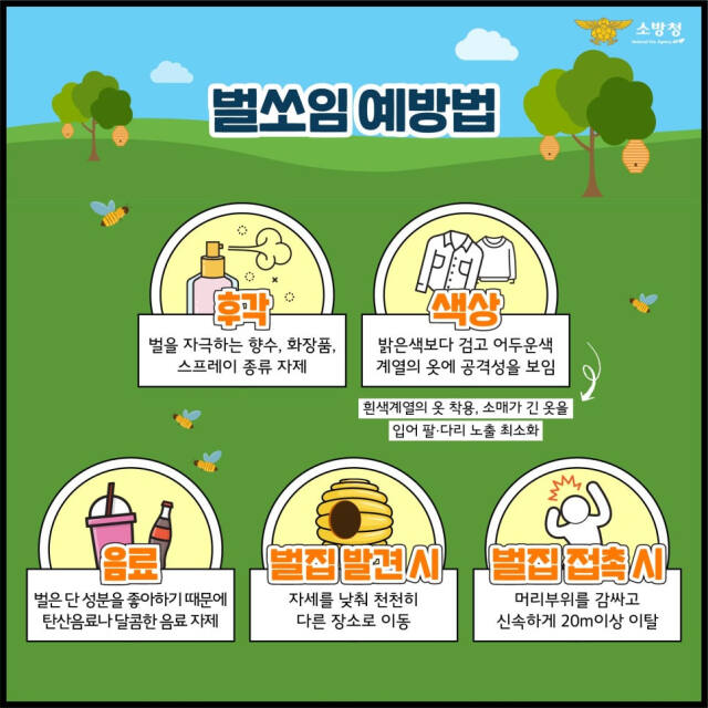벌 쏘임 예방 수칙 내용을 담은 팜플릿. 안성소방서 제공