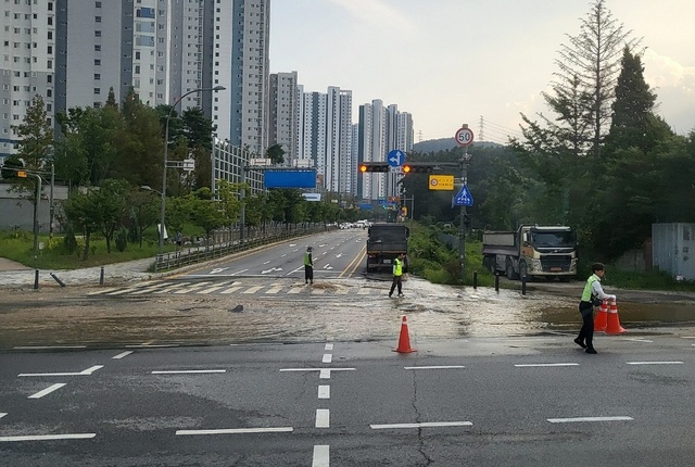 KakaoTalk_20240831_202807352