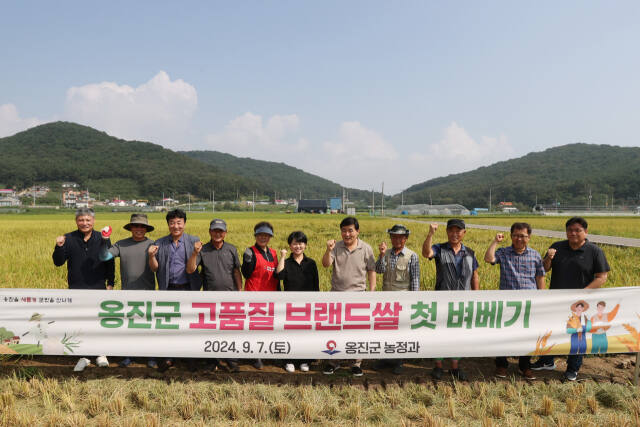 인천 옹진군은 최근 북도면 신도리 일원에서 재배 중인 고시히카리의 첫 벼베기를 시작으로 2024년 ‘섬이 품은 옹진쌀’ 햅쌀을 출하한다. 군 제공