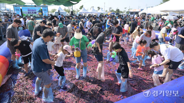 8일 오후 화성시 궁평항 일대에서 열린 '제10회 화성송산포도축제'에서 부대행사로 진행된 포도밟기 행사에 참여한 시민들이 신나게 포도를 밟으며 축제를 즐기고 있다. 홍기웅기자