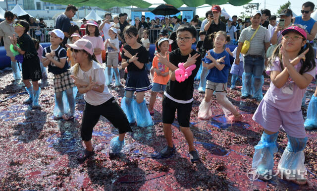 화성송산포도축제, 신나게 포도를 밟아요 [포토뉴스]