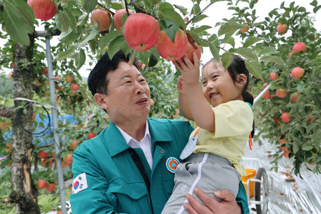 ‘제2회 가평소원사과 따기 행사’에 참가한 서태원 군수가 한 어린이와 함께 사과를 따고 있다. 가평군 제공