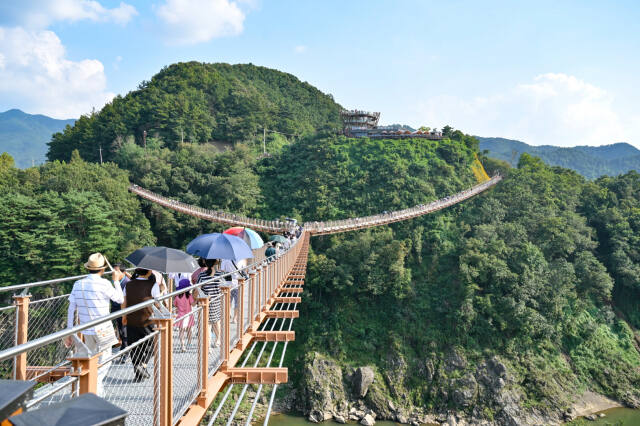 포천 한탄강 Y자형 출렁다리. 포천시 제공