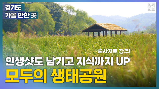 생태공원1