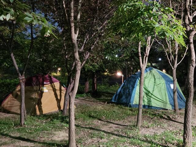 지난 9일 밤 인천 계양구 경인아라뱃길 산책로에 텐트 여러개가 불법 설치돼 있다. 황남건기자