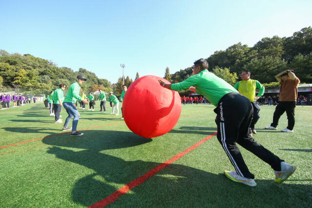 의왕시 부곡체육공원에서 개최된 제36회 의왕시민의 날 기념식 및 한마음 명랑운동회에서 시민들이 큰공굴리기를 하고 있다. 의왕시 제공