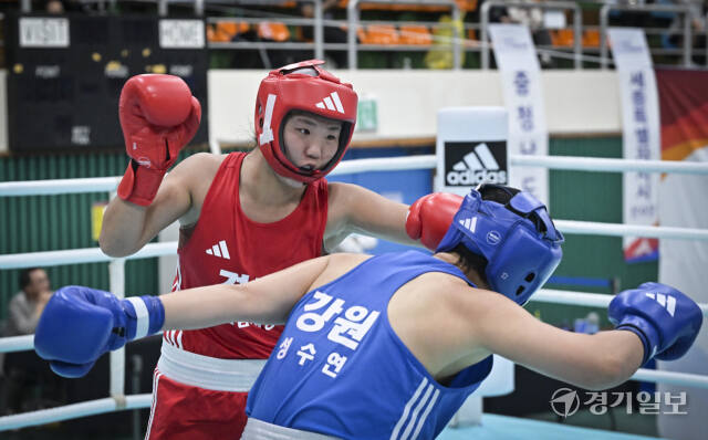 제105회 전국체전, 성남시청 선수진, 복싱 여자일반부 미들급 금메달 [포토뉴스]