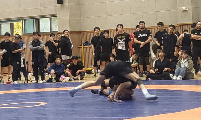 ‘2024 경기도 전국생활체육 레슬링대회’에 참가한 선수들이 경기를 펼치고 있다.경기도레슬링협회 제공