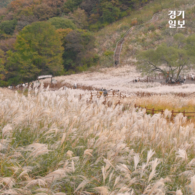 Sequence 04_2