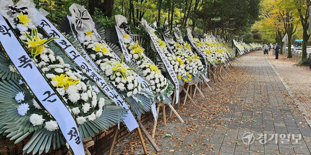 성남 분당의 한 초등학교 주변에 설치된 ‘학폭 근절’ 근조 화환. 박용규기자